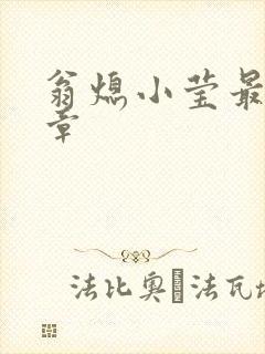 翁熄小莹最新节章