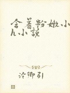 含着粉嫩小奶头h小说