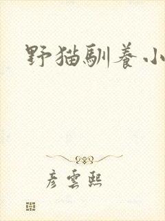野猫驯养小说