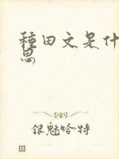 种田文是什么意思