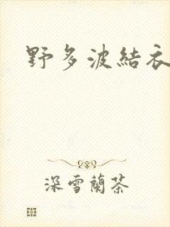 野多波结衣封面