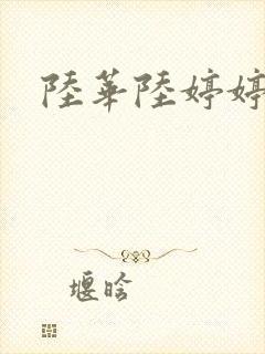 陆华陆婷婷封面