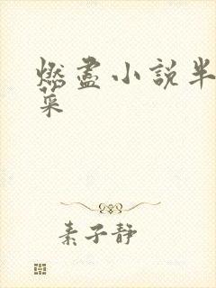 燃尽小说半截白菜
