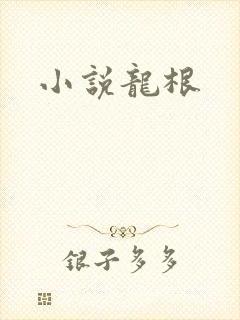 小说龙根
