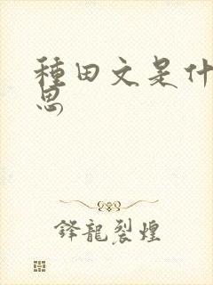 种田文是什么意思封面