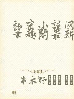 私密小说网小说笔趣阁最新章节更新时间