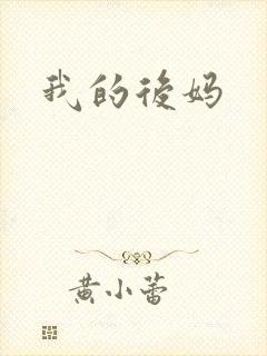 我的后妈封面
