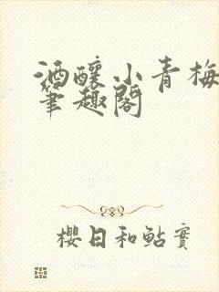 酒酿小青梅po笔趣阁
