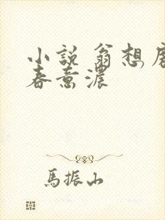 小说 翁想房中春意浓封面