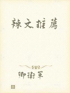 辣文推荐
