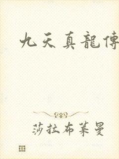 九天真龙传封面