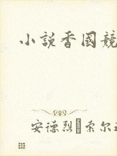 小说香国竞艳封面