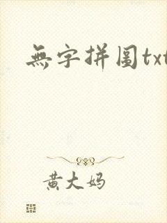 无字拼图txt