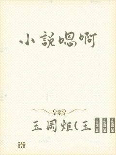 小说嗯啊
