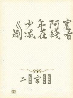 《少年阿宾》无删减在线看