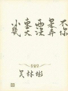 小东西是不是好几天没弄你了封面