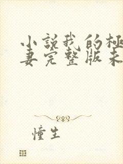 小说我的极品娇妻完整版未删减小说