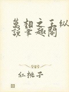 万相之王纵横小说笔趣阁