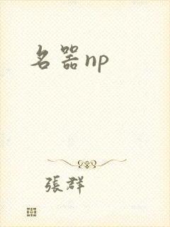 名器np