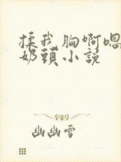 揉我胸啊嗯～吸奶头小说