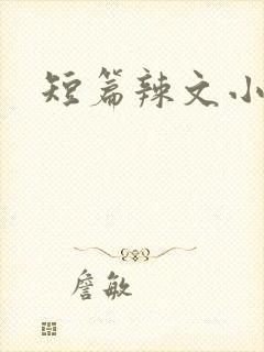 短篇辣文小说封面