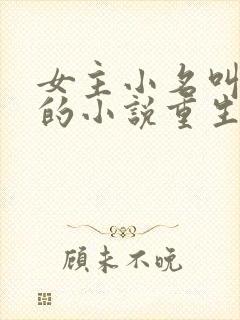 女主小名叫朵朵的小说重生