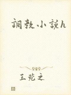 调教小说h