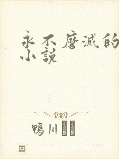 永不磨灭的番号小说