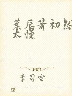 叶辰萧初然更新太慢