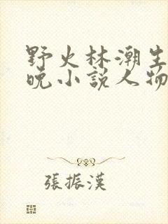 野火林潮生林晚晚小说人物野火封面