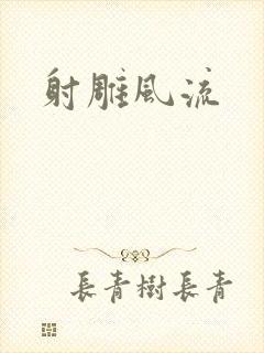 射雕风流