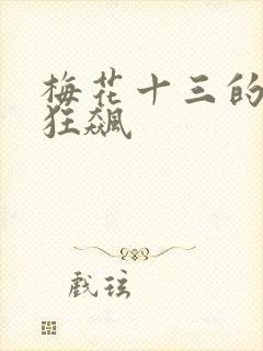 梅花十三的乳液狂飙封面