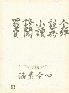 罗铮小说全文免费阅读无弹窗封面