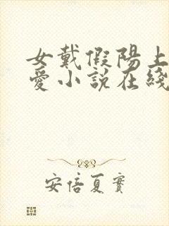 女戴假阳上男四爱小说在线阅读最新