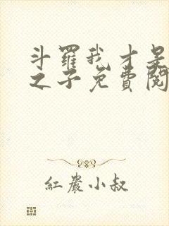 斗罗我才是天命之子免费阅读封面