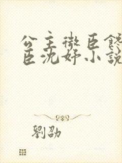 公主微臣馋了微臣沈妤小说