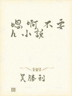 嗯 啊 不要 h 小说