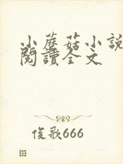 小蘑菇小说免费阅读全文