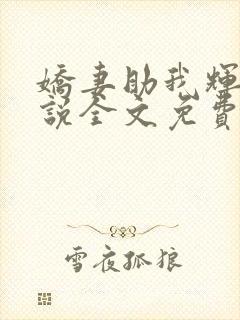 娇妻助我辉煌小说全文免费阅读封面