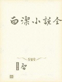 白洁小说全文