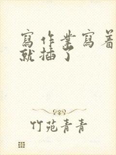 写作业写着写着就插了封面