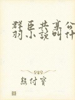 群臣共享公主银羽小说叫什么