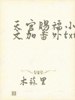 天官赐福小说全文加番外txt封面