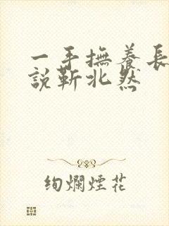 一手抚养长大小说靳北然