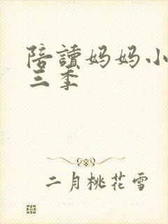 陪读妈妈小说第三季