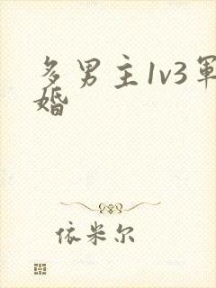 多男主1v3军婚