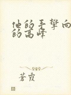 他的手攀向了我的高峰封面