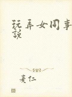 玩弄女同事的小说封面