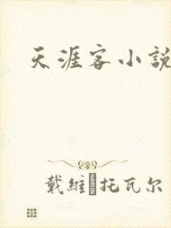 天涯客小说封面