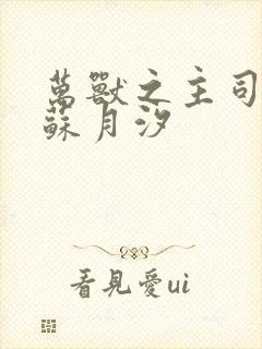 万兽之主司空靖苏月汐